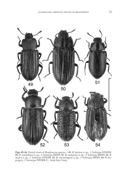 Serie A (Biologie) - Staatliches Museum fÃ¼r Naturkunde Stuttgart