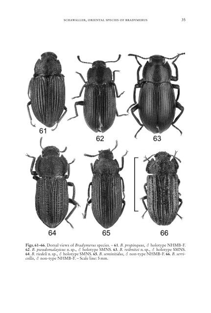 Serie A (Biologie) - Staatliches Museum fÃ¼r Naturkunde Stuttgart