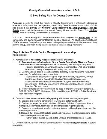 10 Step Safety Plan for County Government - Action Plan (2012)