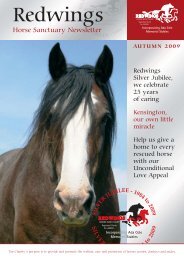 Autumn Newsletter 2009 - Redwings