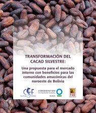 Memoria Transformación del Cacao Silvestre