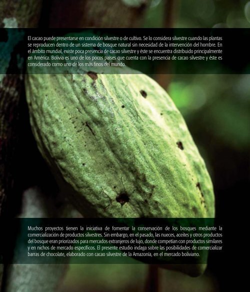 Memoria Transformación del Cacao Silvestre