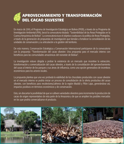 Memoria Transformación del Cacao Silvestre