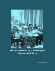 Plan De Desarrollo De La Microrregión Cuenca Del Grijalva – 2011