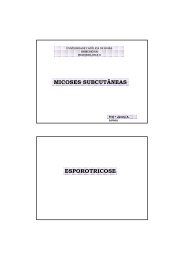 Micoses Subcutaneas 2008.pdf - Ucg