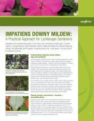 ImpatIens Downy mIlDew: