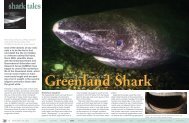 Greenland Shark | X-Ray Mag Issue #50 | Sept ... - X-Ray Magazine