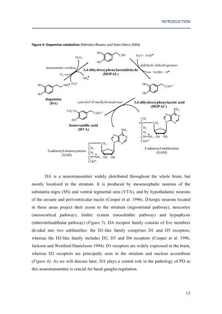 Mechanisms of aluminium neurotoxicity in oxidative stress-induced ...