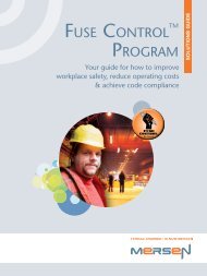 FUSE CONTROL PROGRAM - Mersen