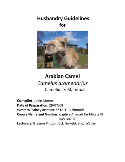 Husbandry Guidelines Arabian Camel Camelus ... - Nswfmpa.org