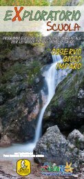 La Betulla - Exploratorio - Parco Nazionale d'Abruzzo Lazio e Molise