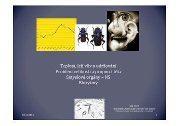 Teplota, velikost tÄla, smysly, biorytmy. pdf