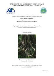 BiogÃ©ographie historique du genre Sloanea aux Petites Antilles