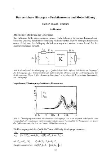 Das periphere Hörorgan – Funktionsweise und Modellbildung