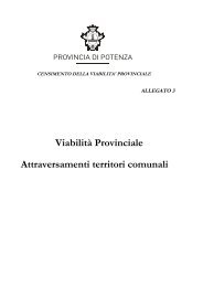 Allegato 3 - Provincia di Potenza