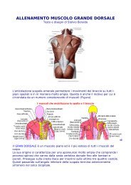 ALLENAMENTO MUSCOLO GRANDE DORSALE - Sport Medicina