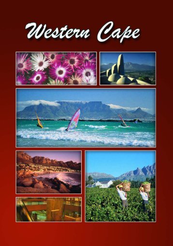 Western Cape Article - South African Vacations