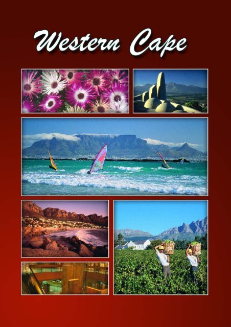 Western Cape Article - South African Vacations