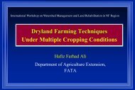 Dryland Farming Techniques Under Multiple Cropping Conditions ...