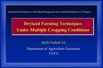 Dryland Farming Techniques Under Multiple Cropping Conditions ...