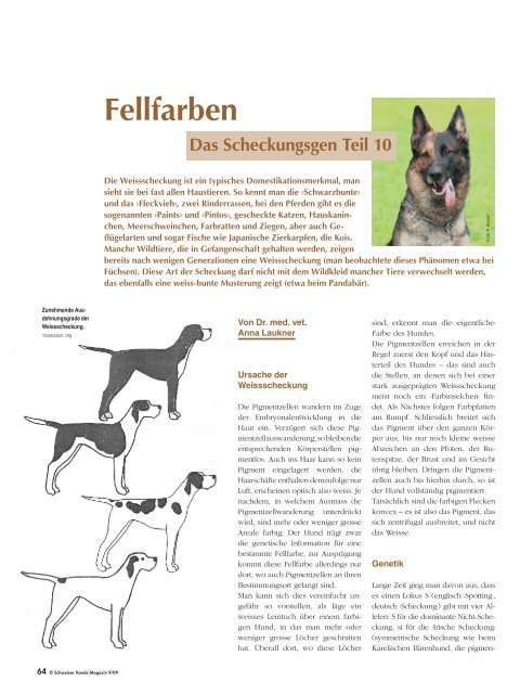 Fellfarben