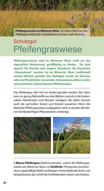 Natura 2000 Gebiet MÃ¶serner Moor - KÃ¤rnten