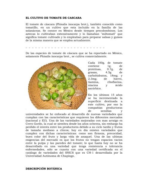 Tomatillo