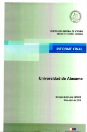 INFORME FINAL Universidad de Atacama - uda transparente