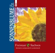 Sonnenblume - Heft 15 - Schulgarten