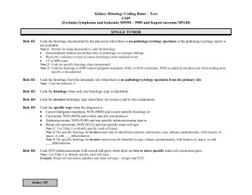 Kidney Histology Rules Text Format - SEER