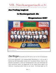 DieRinger - VFL-Neckargartach