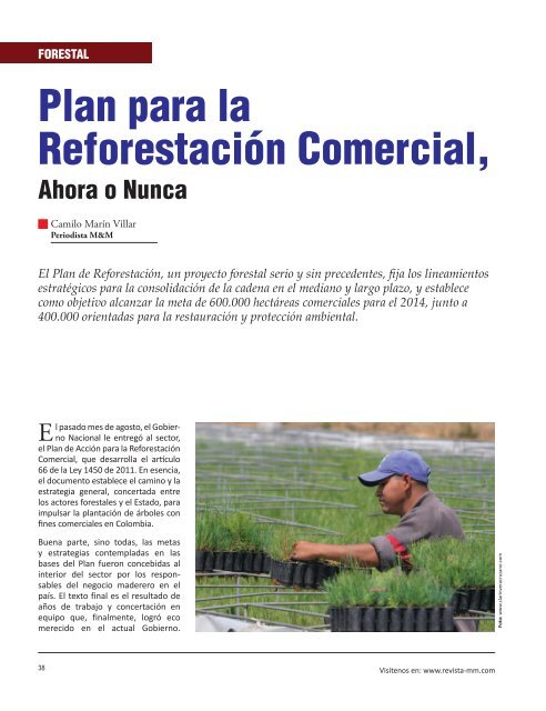 Forestal Plan para la ReforestaciÃ³n Comercial, Ahora o Nunca.