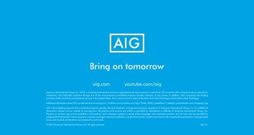 AIG at a Glance Brochure - AIG.com