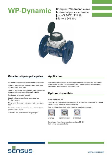 Wp Dynamic Compteur Woltmann à Axe Horizontal Meterbuy