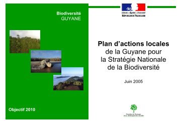 Plan d'actions locales de la Guyane pour la ... - Région Guyane