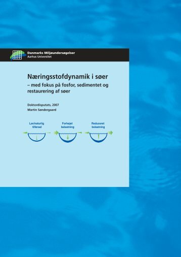 Næringsstofdynamik i søer - Danmarks Miljøundersøgelser