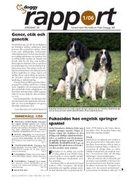 Fukosidos hos engelsk springer spaniel Gener, etik ... - Doggy Rapport
