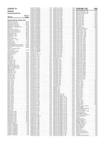 ÇORUM (19) 406