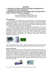 BIOCHIPS : 1- Introduction to DNA microarray technology ... - esonn