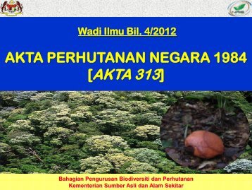 AKTA PERHUTANAN NEGARA 1984 PDF