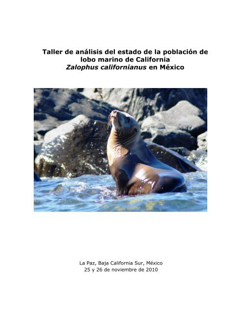 Taller Lobo marino - Instituto Nacional de Ecología