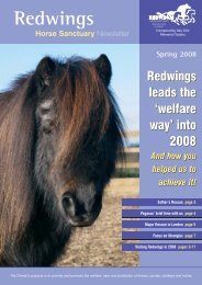 Spring Newsletter 2008 - Redwings