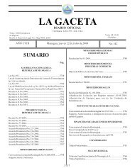 Gaceta - Diario Oficial de Nicaragua - # 142 de 22 Julio 2004