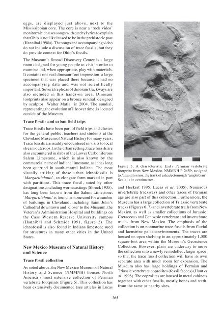 Continental trace fossils and museum exhibits - Geological Curators ...