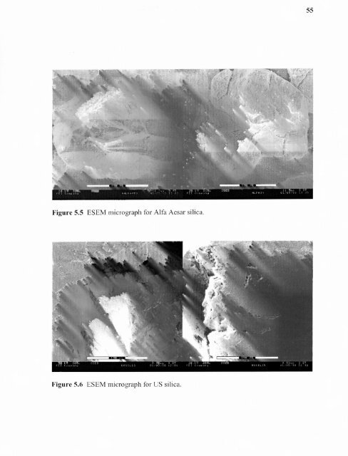 Heavy metal adsorption on iron oxide and iron oxide-coated silica ...