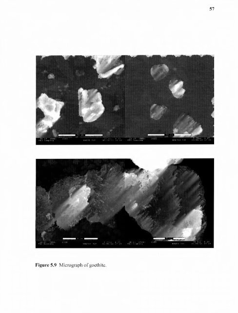 Heavy metal adsorption on iron oxide and iron oxide-coated silica ...