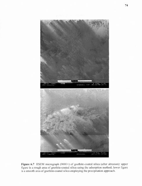 Heavy metal adsorption on iron oxide and iron oxide-coated silica ...