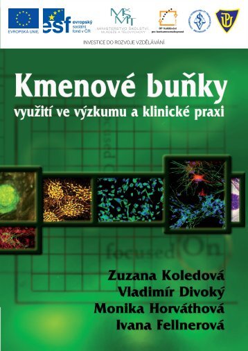 publikace_kmenove bunky.pdf - katedra zoologie - Univerzita ...