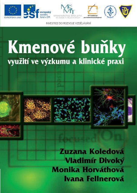 publikace_kmenove bunky.pdf - katedra zoologie - Univerzita ...