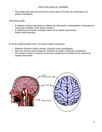 Física aplicada al cerebro - Feriadelasciencias.unam.mx